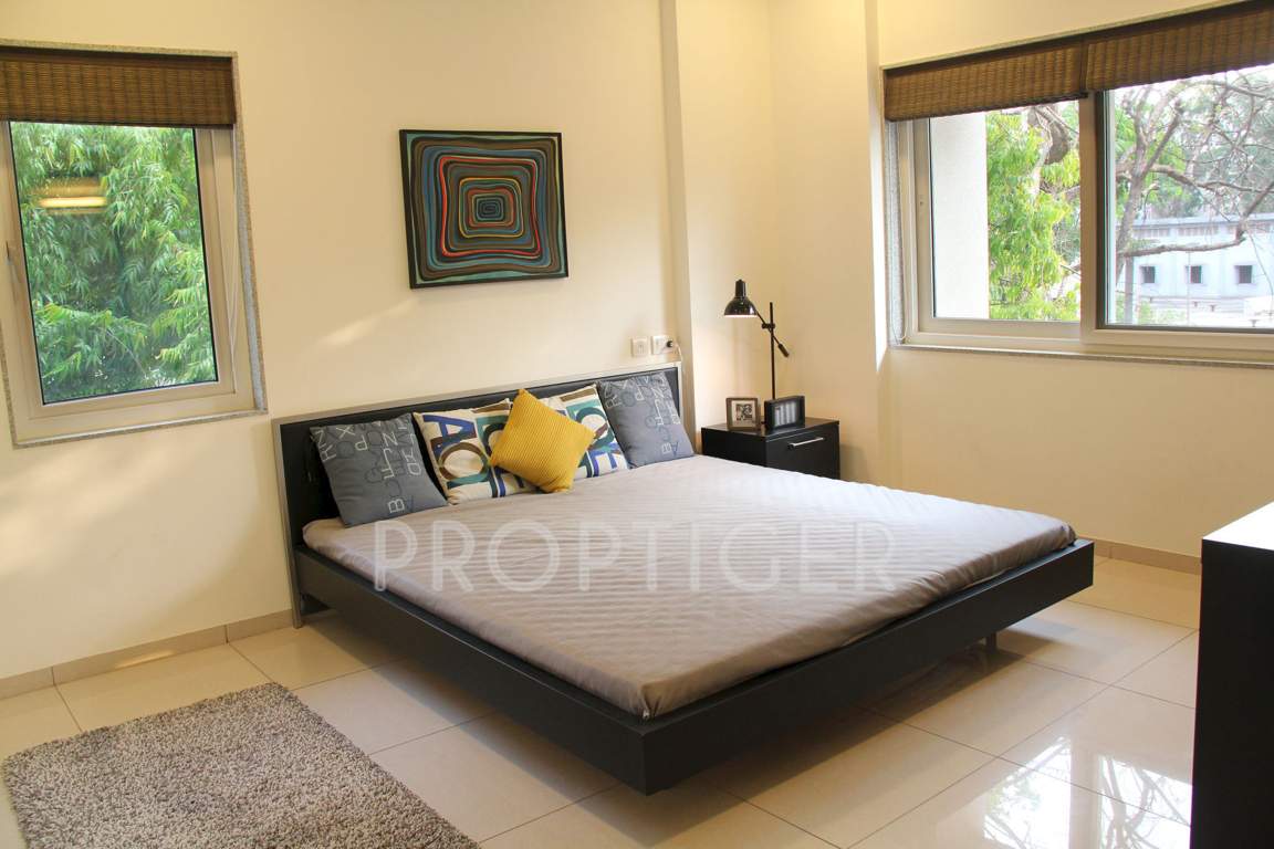 612 elevate Images for Main Other of Amaya 612 Elevate