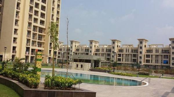  orchard-county-i Swimming Pool