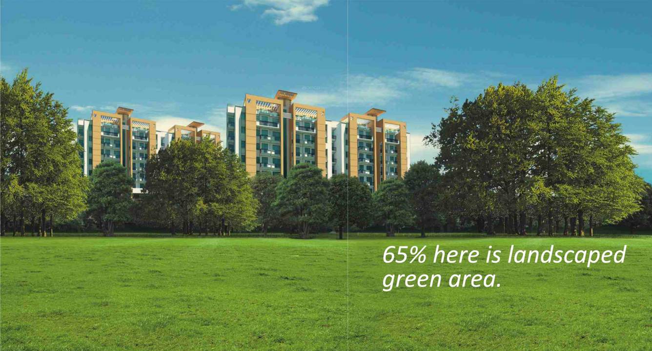  belmont park Images for Elevation of IBD Belmont Park