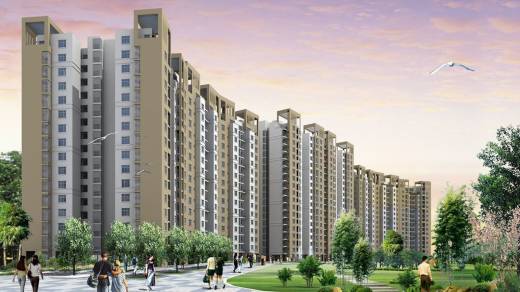 plumeria-homes Elevation Elevation