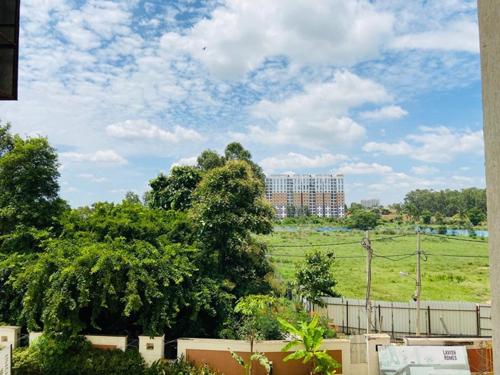  micasa Landscape Garden and Tree Planting