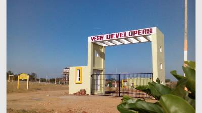 Others greens-phase-iii Others