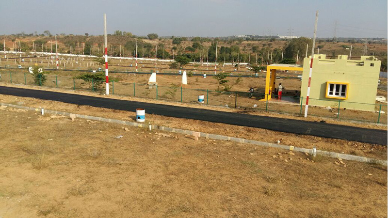 greens phase iii Others