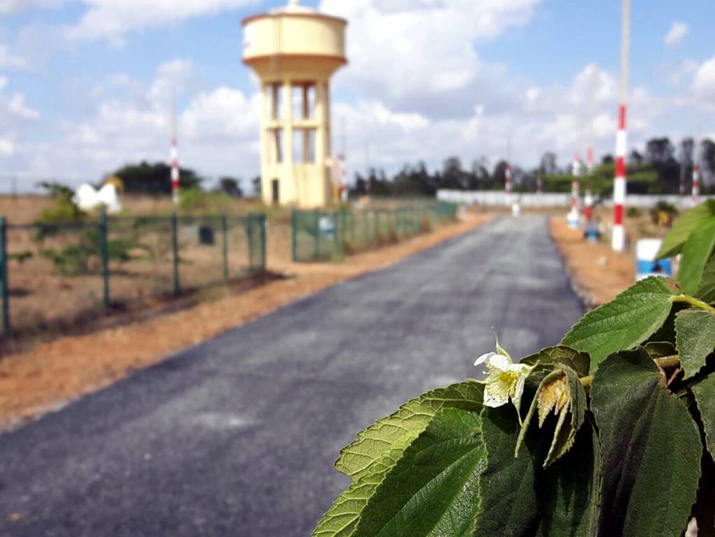 Images for Main Other of Yesh Greens Phase III