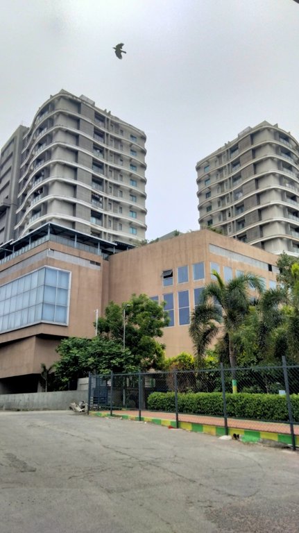 city the crest Others