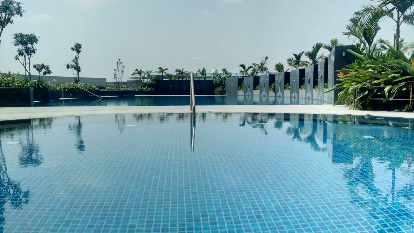 city the crest Swimming Pool