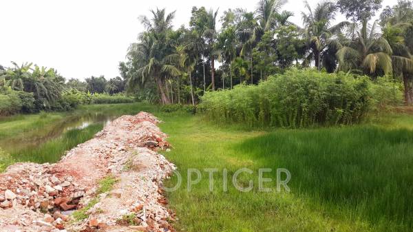 Images for Main Other of Alaaska Green Estate