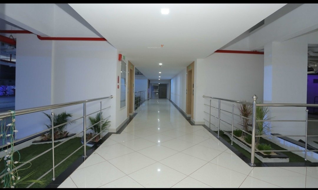 Images for mainOther