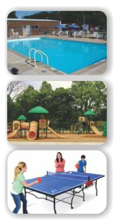 Images for mainOther