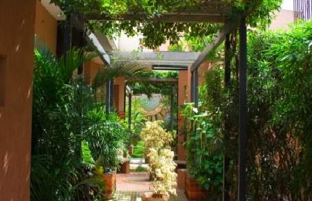 park Landscape Garden and Tree Planting