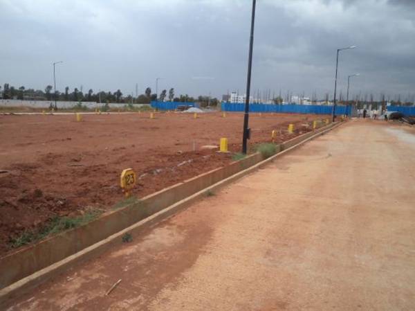 Images for Elevation of Confident Floris Images for Elevation of Confident Floris