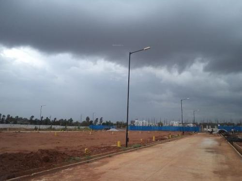 Images for Amenities of Confident Floris floris Images for Amenities of Confident Floris