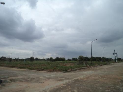  cygnus-2 Images for Elevation of Confident Cygnus 2