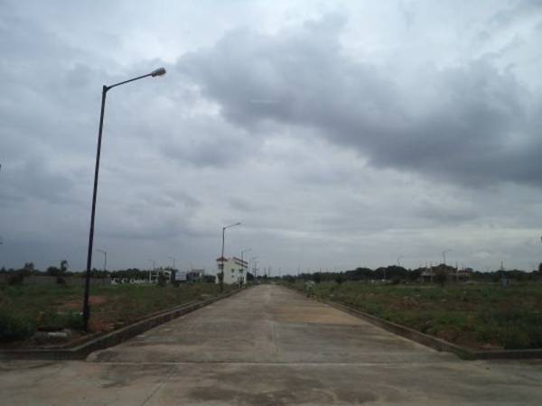 Images for Main Other of Confident Cygnus 2