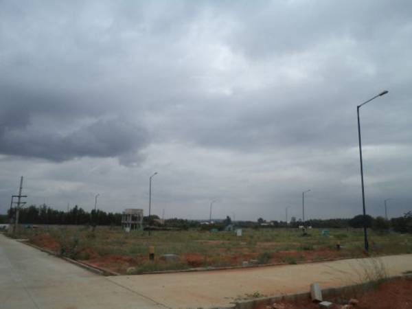 Images for Main Other of Confident Cygnus 2