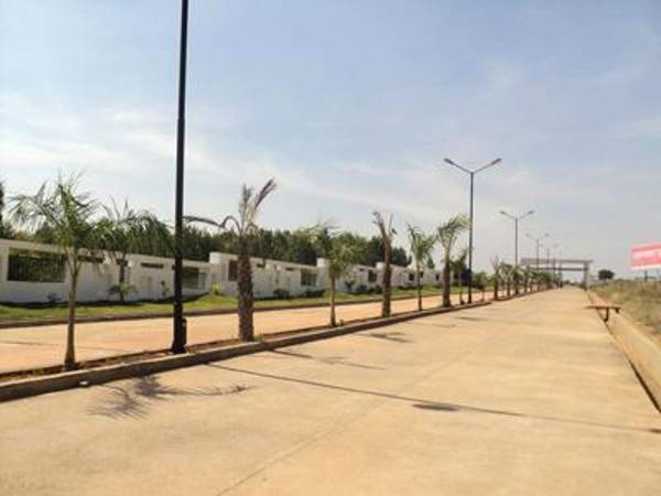 Images for Main Other of Confident Cygnus 2