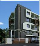 Elevation daffodils Elevation