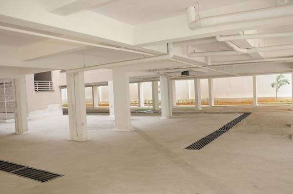  daffodils Car Parking