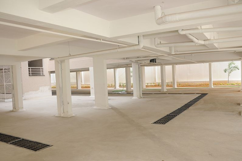  daffodils Car Parking