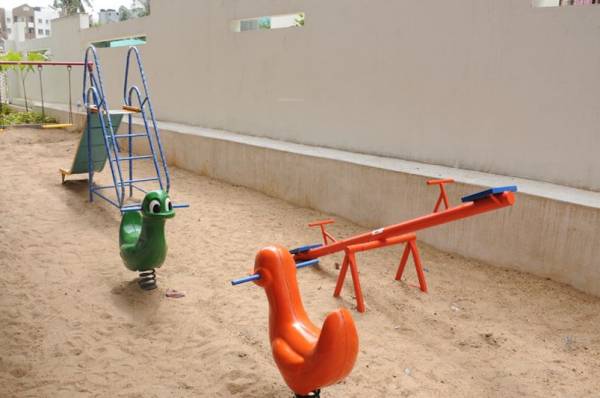 daffodils Children's play area