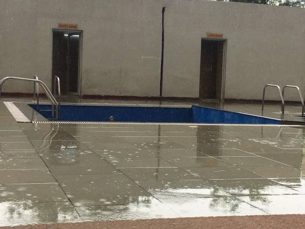 Swimming Pool hamilton-heights Swimming Pool