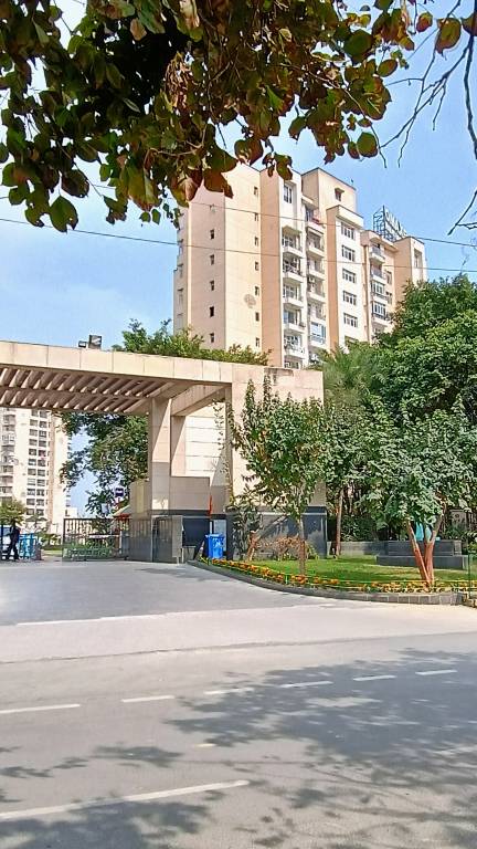  palm greens Elevation