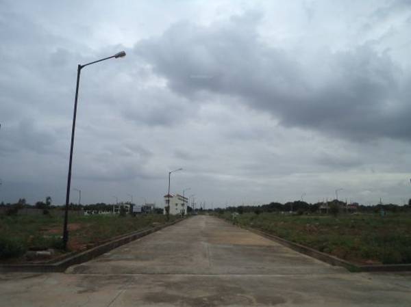 Images for Main Other of Confident Canopus 1