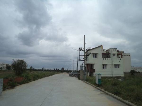 Images for Main Other of Confident Canopus 1