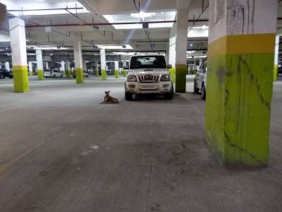 Car Parking parikrama Car Parking