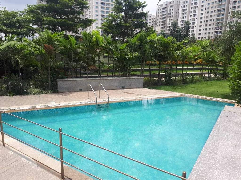  karmel Swimming Pool