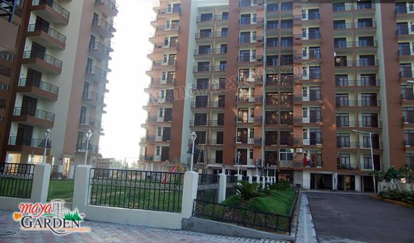 Images for Elevation of Maya Garden2