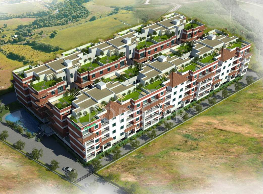 wisteria Images for Elevation of Krishvi Wisteria