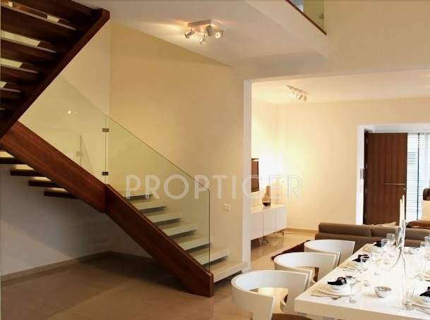 wisteria Images for Main Other of Krishvi Wisteria