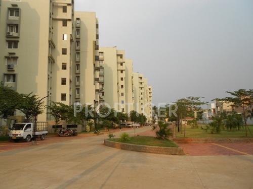  gymkhana-palm-height Images for Elevation of  Gymkhana Palm Height