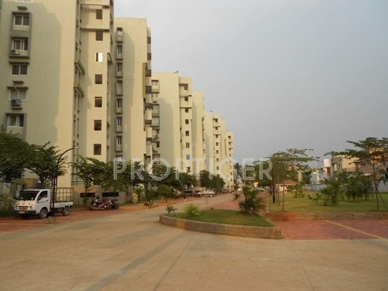  gymkhana palm height Images for Elevation of  Gymkhana Palm Height