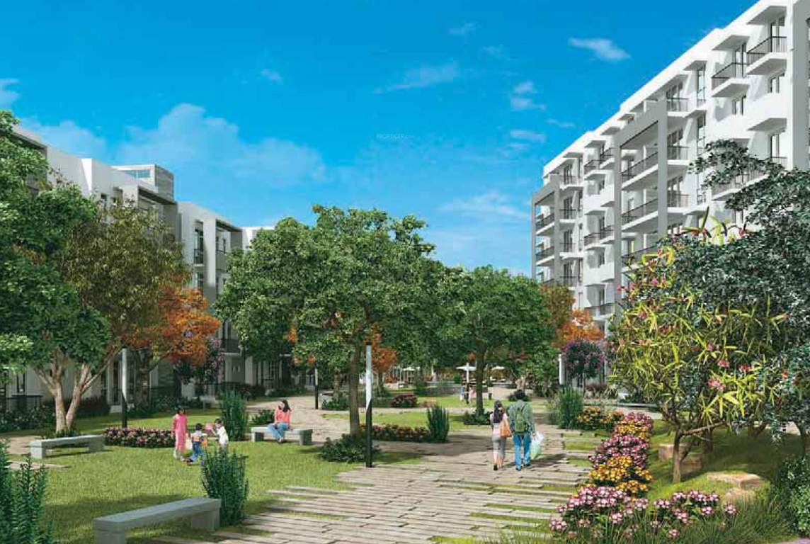  one rise Landscape Garden and Tree Planting