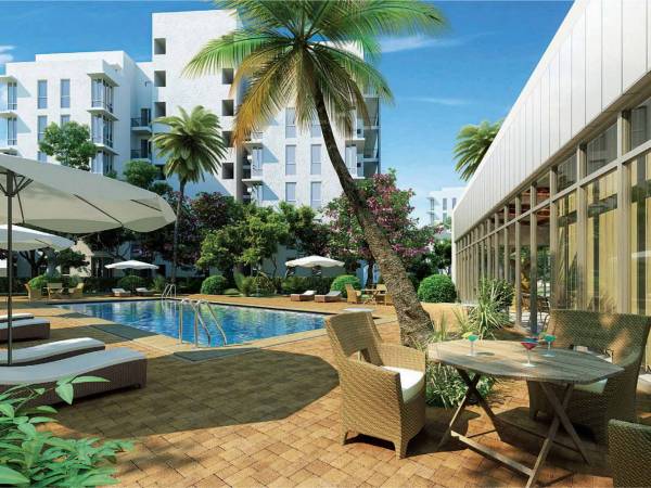  one-rise Swimming Pool