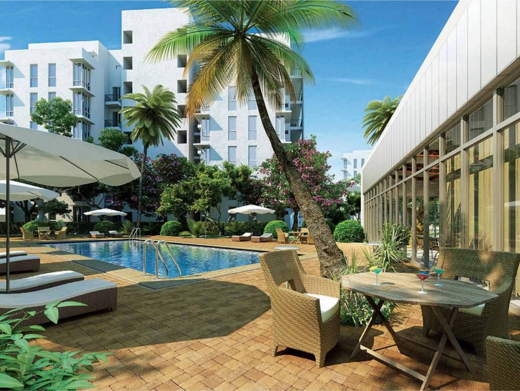  one rise Swimming Pool