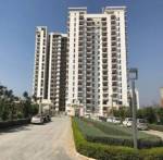 Elevation  city-residence Elevation