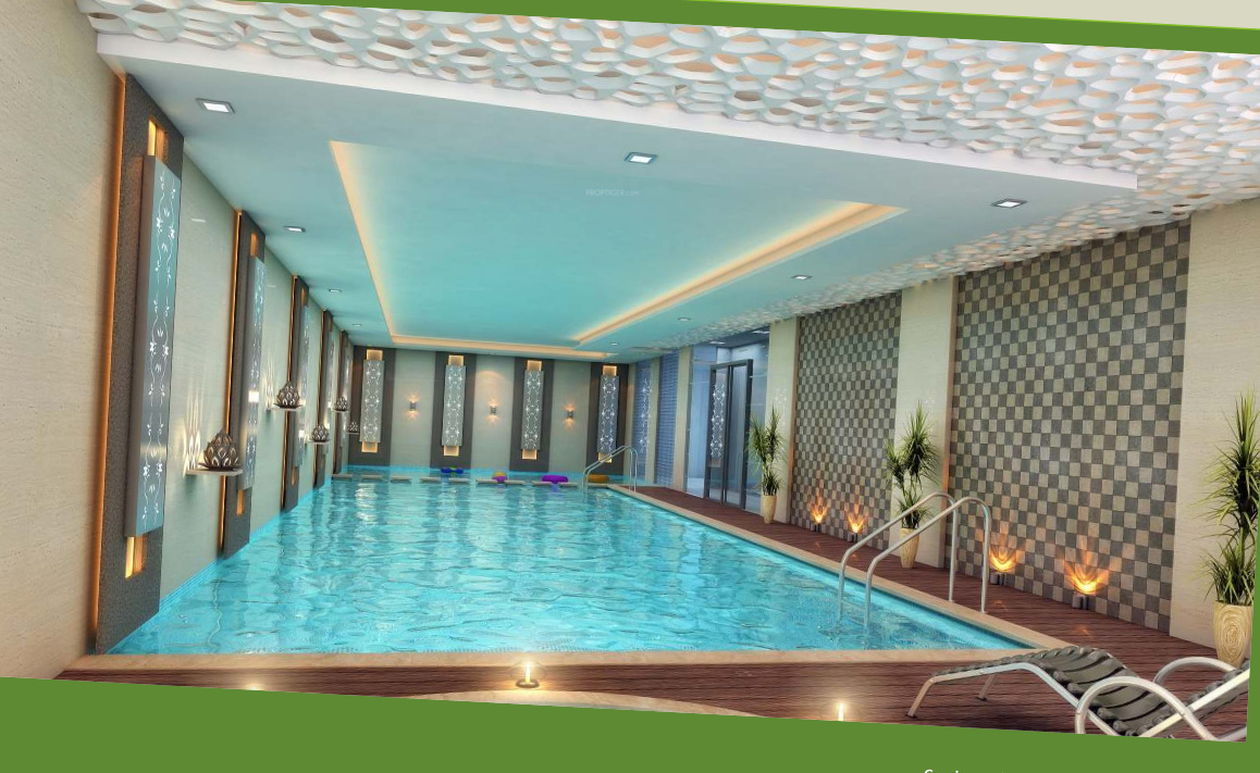 green fortune Others