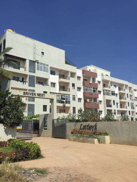  sriven-nest Images for Project