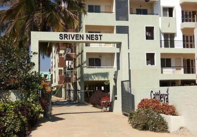  sriven nest Images for Project