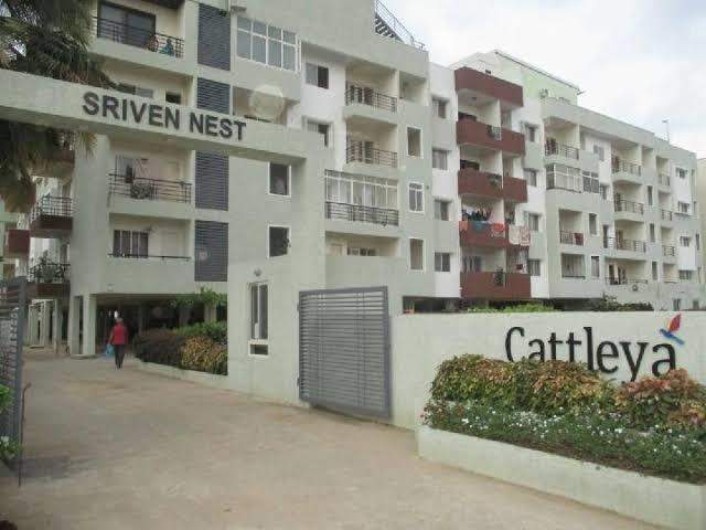  sriven nest Images for Project