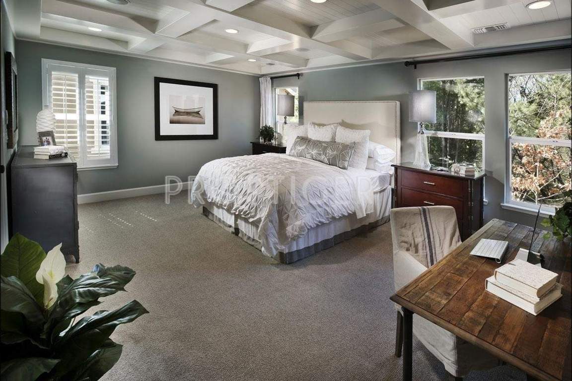  sriven nest Images for Main Other of Cattleya Sriven Nest