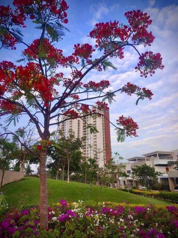 Prestige White Meadows Villas