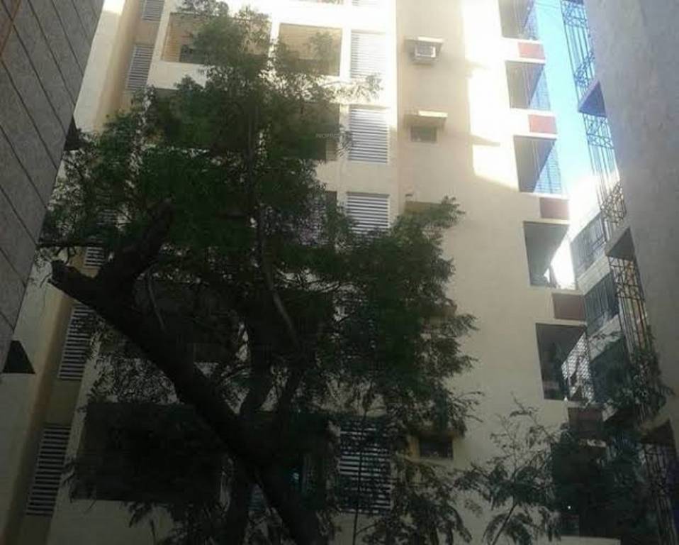  orchid court Elevation