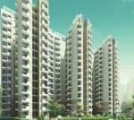 Images for Project Images for Project