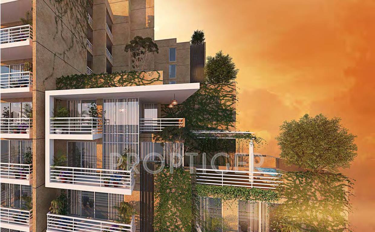 Images for Elevation of CHD Vann