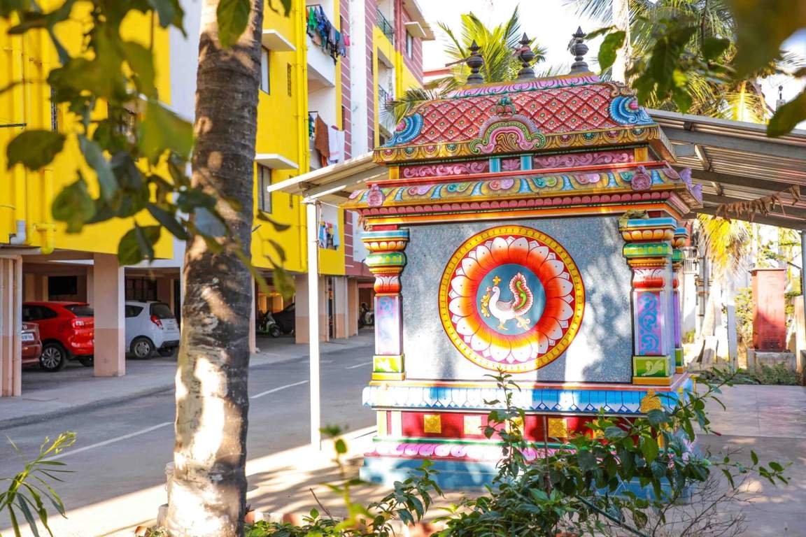  coconut grove Others