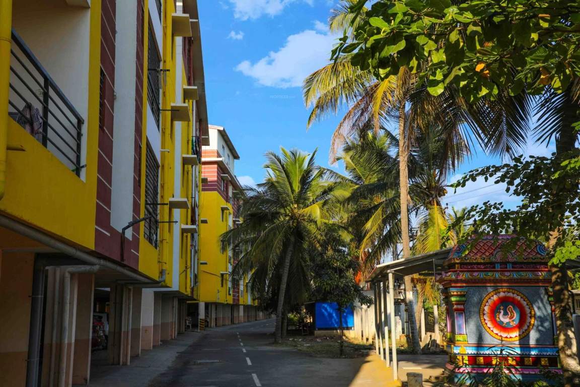  coconut grove Others